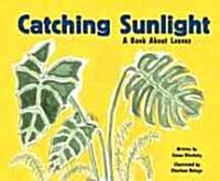 [중고] Catching Sunlight: A Book about Leaves (Library Binding)