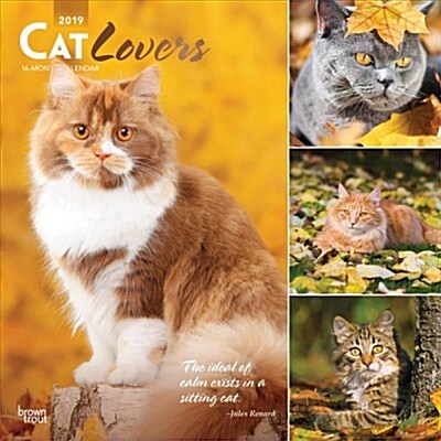 Cat Lovers 2019 Calendar (Calendar, Wall)