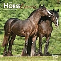 Horse Lovers 2019 Calendar (Calendar, Mini, Wall)