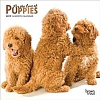 For the Love of Puppies 2019 Calendar (Calendar, Mini, Wall)