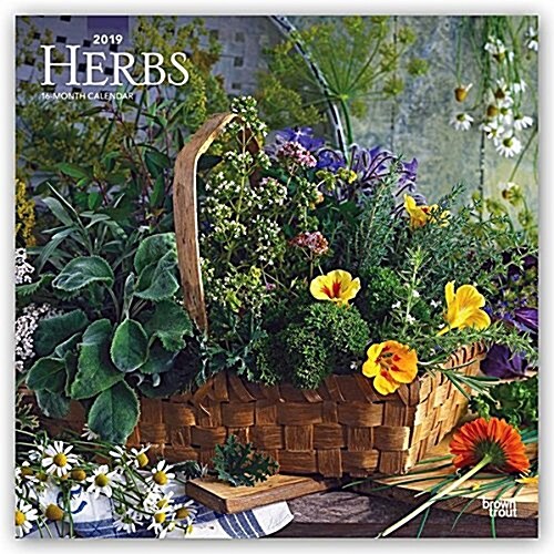 Herbs 2019 Calendar (Calendar, Wall)