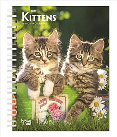 Kittens 2019 Calendar (Calendar, Engagement)