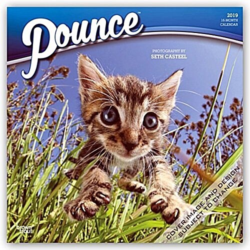 Pounce 2019 Square (Other)