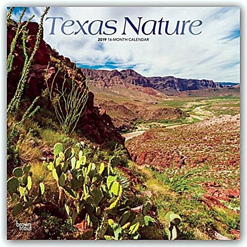 Texas Nature 2019 Square Foil (Other)