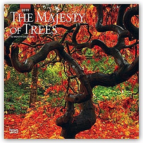Majesty of Trees, the 2019 Square (Other)