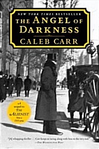 The Angel of Darkness: Book 2 of the Alienist (Paperback)