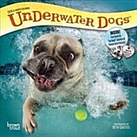 Underwater Dogs 2019 Calendar (Calendar, Mini, Wall)
