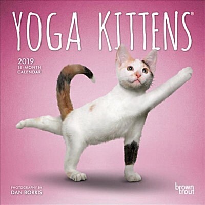 Yoga Kittens 2019 Calendar (Calendar, Mini, Wall)