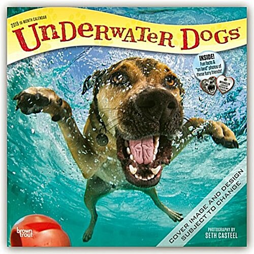 Underwater Dogs 2019 Square (Other)