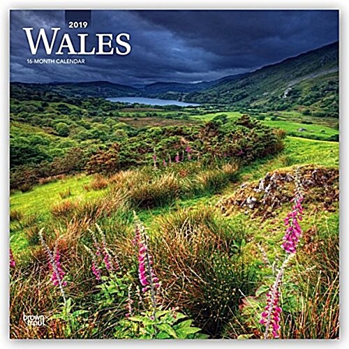 Wales 2019 Calendar (Calendar, Wall)