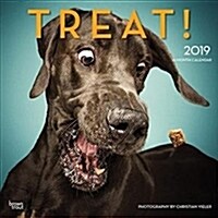 Treat 2019 Square Hachette (Other)
