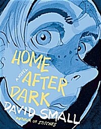 Home After Dark (Hardcover)