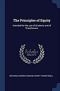 The Principles of Equity: Intended for the Use of Students and of Practitioners (Paperback)