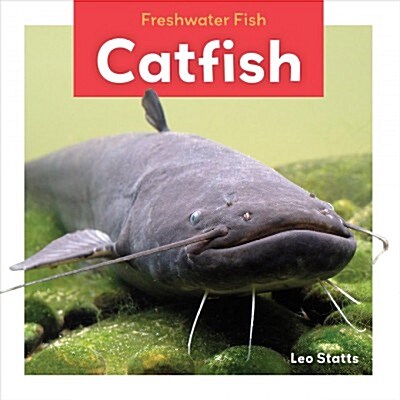 Catfish (Library Binding)