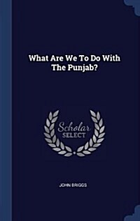 What Are We to Do with the Punjab? (Hardcover)