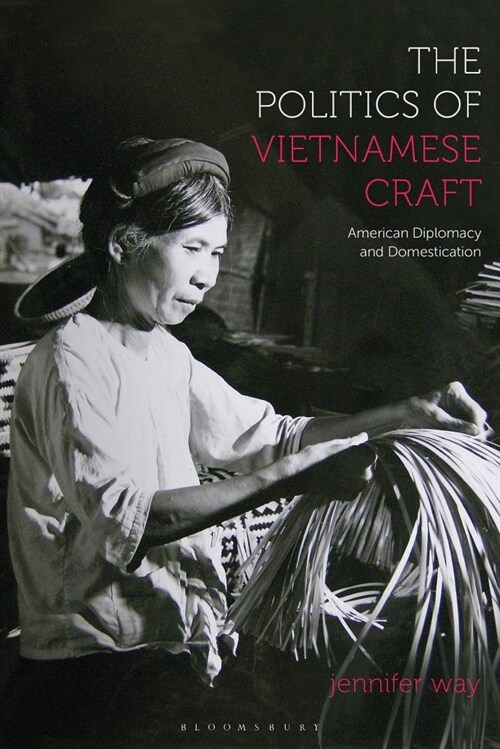 The Politics of Vietnamese Craft : American Diplomacy and Domestication (Hardcover)