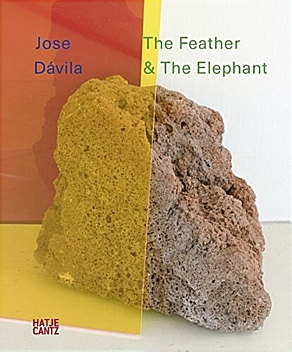 Jose D?ila: The Feather and the Elephant (Paperback)