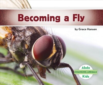 Becoming a Fly (Library Binding)