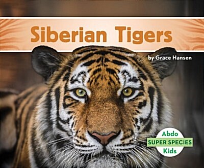 Siberian Tigers (Library Binding)