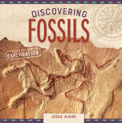 Discovering Fossils (Library Binding)