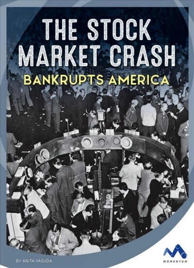 The Stock Market Crash Bankrupts America (Library Binding)