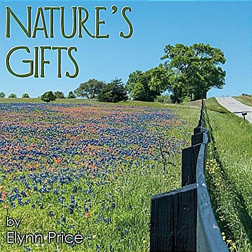 Natures Gifts (Paperback)