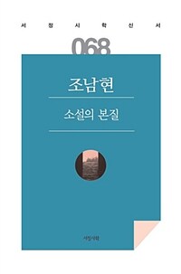 소설의 본질 