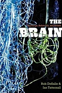 [중고] The Brain: Big Bangs, Behaviors, and Beliefs (Hardcover)
