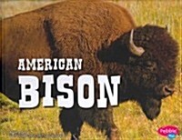 American Bison (Hardcover)