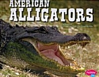 American Alligators (Hardcover)