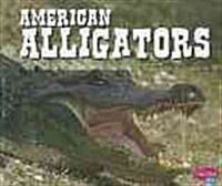 American Alligators (Paperback)