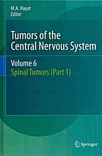 Tumors of the Central Nervous System, Volume 6: Spinal Tumors (Part 1) (Hardcover, 2012)
