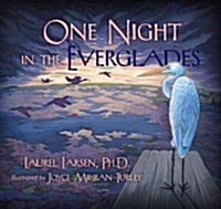 One Night in the Everglades (Hardcover)