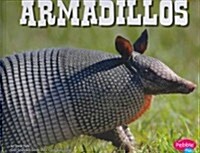 Armadillos (Hardcover)