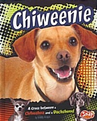 Chiweenie: A Cross Between a Chihuahua and a Dachshund (Hardcover)