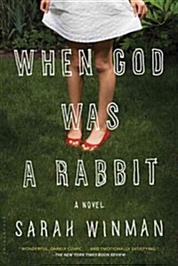 When God Was a Rabbit (Paperback)