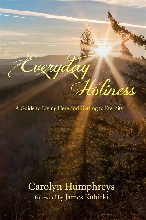 Everyday Holiness (Paperback)