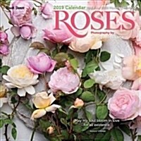 Roses Calendar (Calendar, Wall)