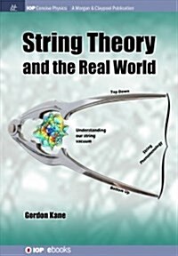 String Theory and the Real World (Hardcover)