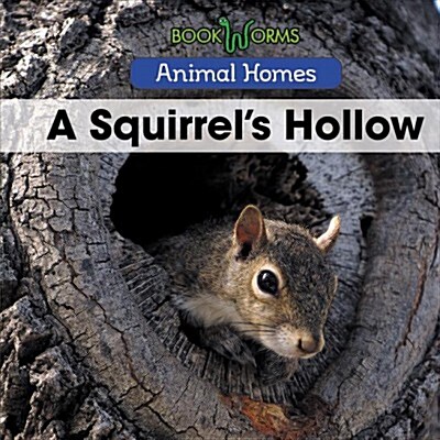 A Squirrels Hollow (Paperback)