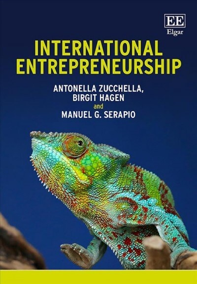 International Entrepreneurship (Hardcover)