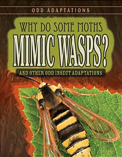 Why Do Some Moths Mimic Wasps?: And Other Odd Insect Adaptations (Paperback)