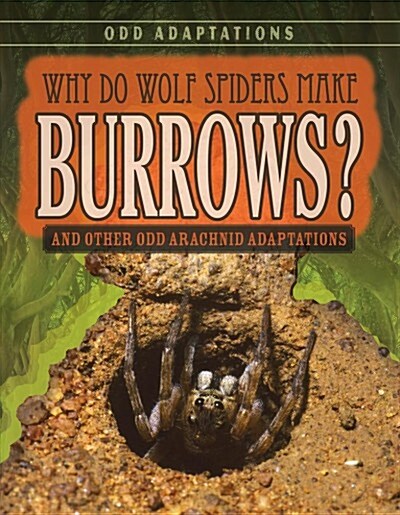 Why Do Wolf Spiders Make Burrows?: And Other Odd Arachnid Adaptations (Paperback)