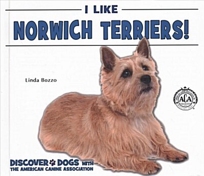 I Like Norwich Terriers! (Library Binding)