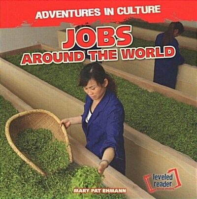 Jobs Around the World (Paperback)