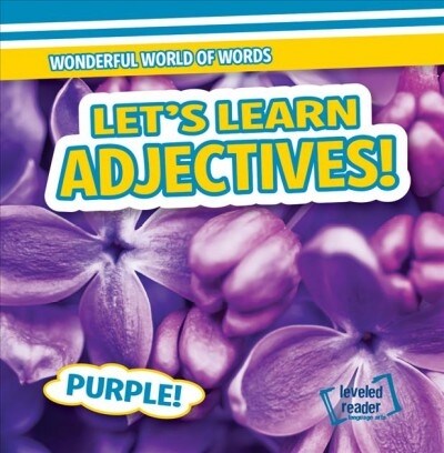 Lets Learn Adjectives! (Library Binding)