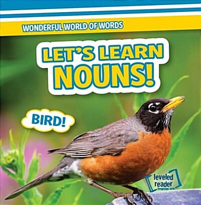 Lets Learn Nouns! (Paperback)