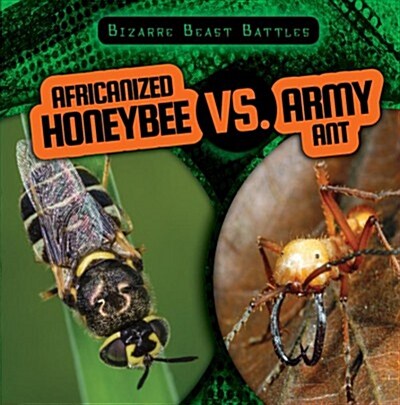 Africanized Honeybee Vs. Army Ant (Paperback)