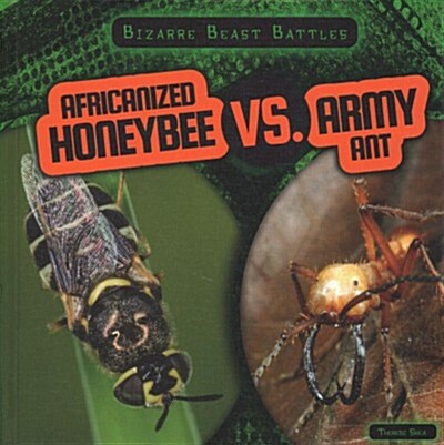 Africanized Honeybee vs. Army Ant (Library Binding)