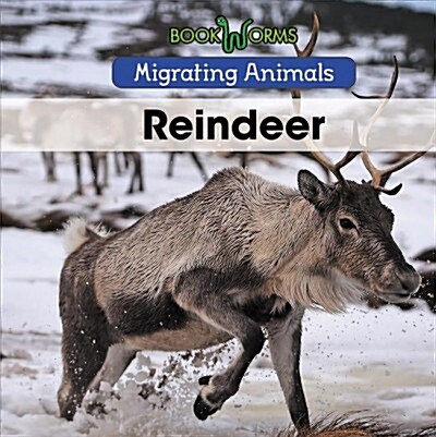 Reindeer (Paperback)